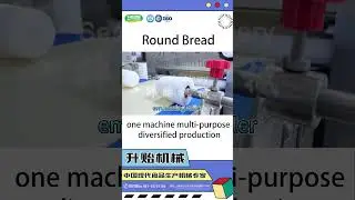 Seny machine SY-860 automatic round bread production line