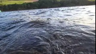 P1010656