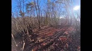 浅利城＠栃木県佐野市　2025.12.26