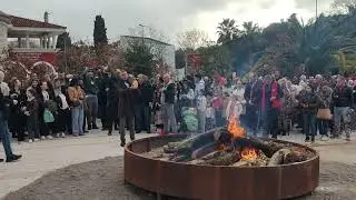 Crmničani donose badnjak ispred hrama