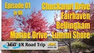 Beautiful Nature Scenery in VR | Episode 01 | 360 VR Road Trip