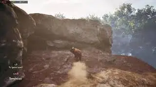 Adorable Adventues