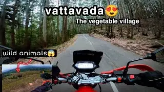 Vattavada😍The vegetable village | wild animals😱indian bison | strawberry farm | fun😂 #munnar