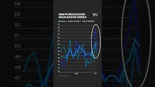 Trump Tariff Concerns Paralyze Businesses, Raising Uncertainty | WSJ News