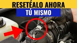 AS&Iacute; se RESETEA el AUTO para BORRAR FALLOS sin ir al MEC&Aacute;NICO