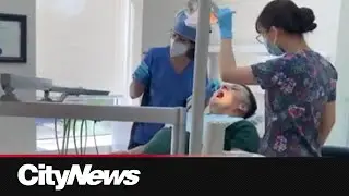 Alberta dentists react to federal program