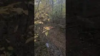 Their starting to move more! #viral #content #shortsviral