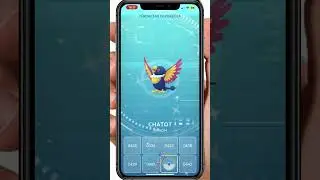 SHINY CHATOT CATCH POKEMON GO #shorts  #game #gamehp #gaming #games #gameplay #pokemongo  #pokemon