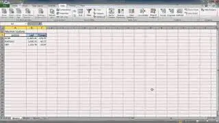 Excel 2010: Warrior Series: Getting External Data from Access, The Web, Text and Other Sources