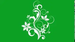 Flourish Flower on Green Screen 20