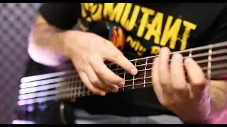 Asemic - Celestial Gardens /// Bass Playthrough
