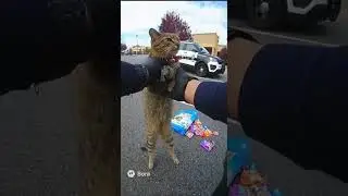 #criminal #cat get arrested by the #police (#ai)