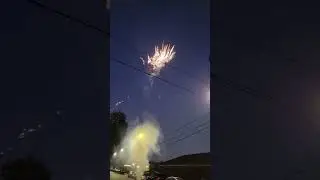 Donald duck firework