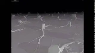 Polyfauna [Track #8]