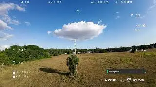 Flying outback and spotted a Bald Eagle In A Tree