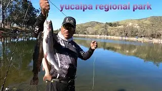 pesca de truchas Con el famoso mu&ntilde;eco/ en el lago Yucaipa Regional Park CALIFORNIA 2021