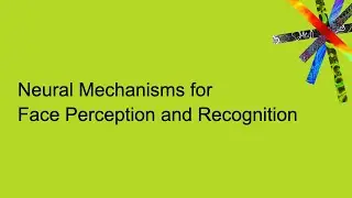 Neural Mechanisms for Face Perception and Recognition