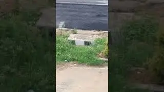 Road Construction. Road. Ecocity-1, Mohali, New Chandigarh, Punjab, India. AAP. Part-6