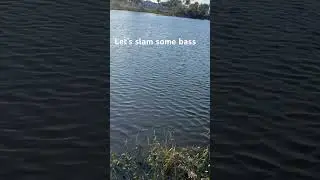 Bass time #fishing #grind #fish #bass #bassfishing
