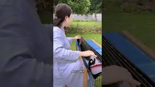 Cổ Cầm 