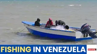 Maritime Tensions Add New Risks for Wayuu Fishermen in Venezuela