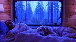 Heavy Rain and Soft Thunder Sounds for Deep Relaxation