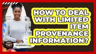 How To Deal With Limited Item Provenance Information?