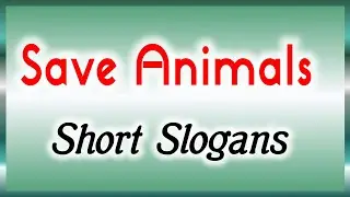 Save animals slogans in english, World animal day slogans, slogans on save animals