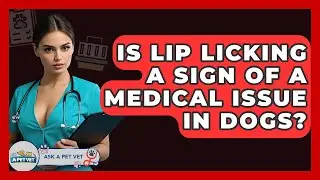 Is Lip Licking A Sign Of A Medical Issue In Dogs? - Ask A Pet Vet
