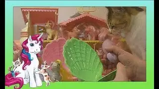 My Huge My Little Pony Haul!