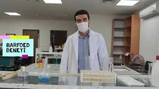 Barfoed Deneyi/Barfoed Experiment