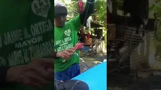 for catching octopus and cattle fish #usa #canada #fishing #viralshorts
