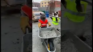 Cat Construction Workers Making Cement - Purrfect Teamwork! 🐱🐱👷&zwj;♂️👷&zwj;♂️