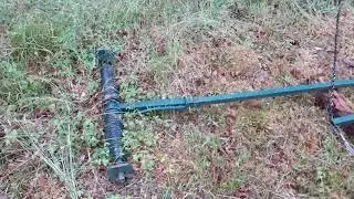 palombe.org - Chasse au sol de la palombe en No Kill