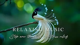 Unleash Quiet Bliss 🌿 Mossy Ferns Relaxing Piano | Oxy Music