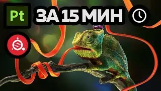 Adobe Substance 3D Painter за 15 мин