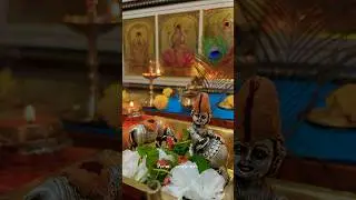 Krishnastami | hare krishna |#janmashtami #krishnashtami #harekrishna #gopal 🦚🪷