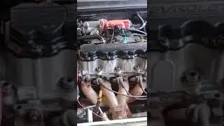 eu desfiz a lamban&ccedil;a do mec&acirc;nico boca de porco!!! 🐷....cuidado c quem vc leva p mexer n teu carro!!