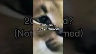 Memes make dogs immortal part 4 #shorts