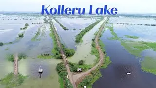 Kolleru Bird Sanctuary and Lake, West Godavari