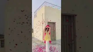 Pakistani traditional dress