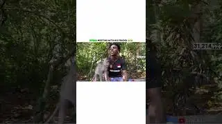 Monkey friend 😂🤣