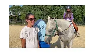 Girl Scout Gold Award Project: Barn Boxes for Equine Therapy