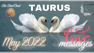 TAURUS LOVE MESSAGES 💌 BIG APOLOGY!! BIG COMMITMENT!!! 😱 LOVE TAROT MAY 2022, TAURUS TAROT
