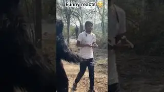 Gorilla prank funny reacts video 😂 #gorillaprank #funny #viral #comedy