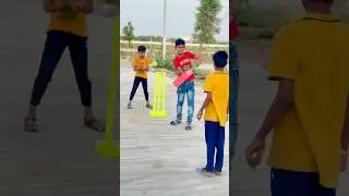 Cricket Stump for Players😎