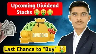 Latest Dividend Ex Dates 2024 | Upcoming Dividend Shares 2024 | DIVIDEND Stocks August 2024