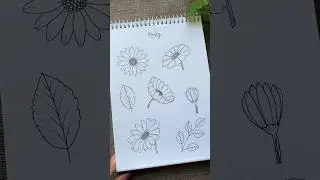 Daisy flower 🌼 #perspective #drawing #drawingtutorial #art #shortsviral #daisy #learnart #flowers
