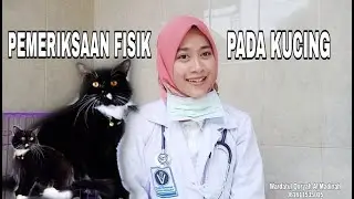 CARA PEMERIKSAAN FISIK PADA KUCING