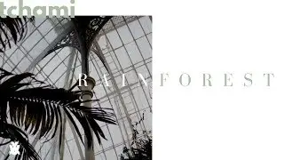 Tchami - Rainforest